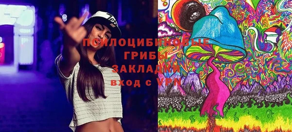 СК Алексин