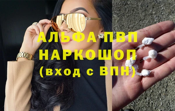 СК Алексин