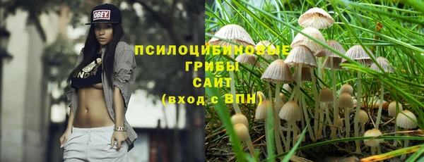 СК Алексин