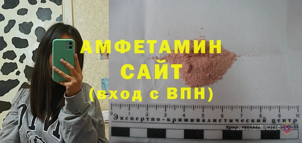 СК Алексин