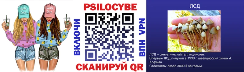 площадка какой сайт  где купить наркоту  Тула  Галлюциногенные грибы Psilocybine cubensis 